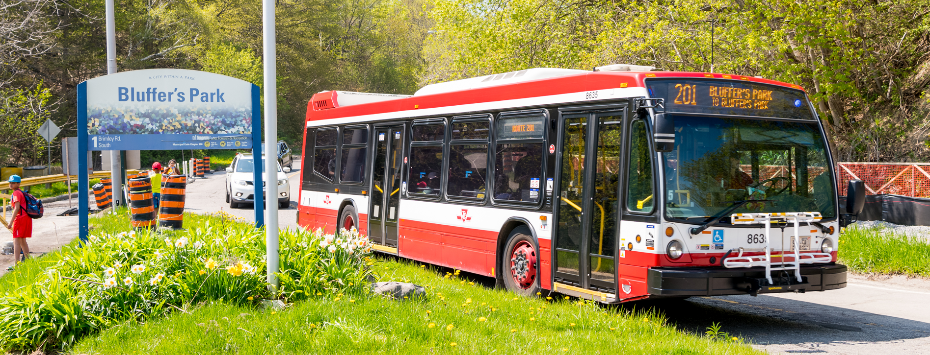 201 Bluffer's Park TTC bus in front of the park sign.