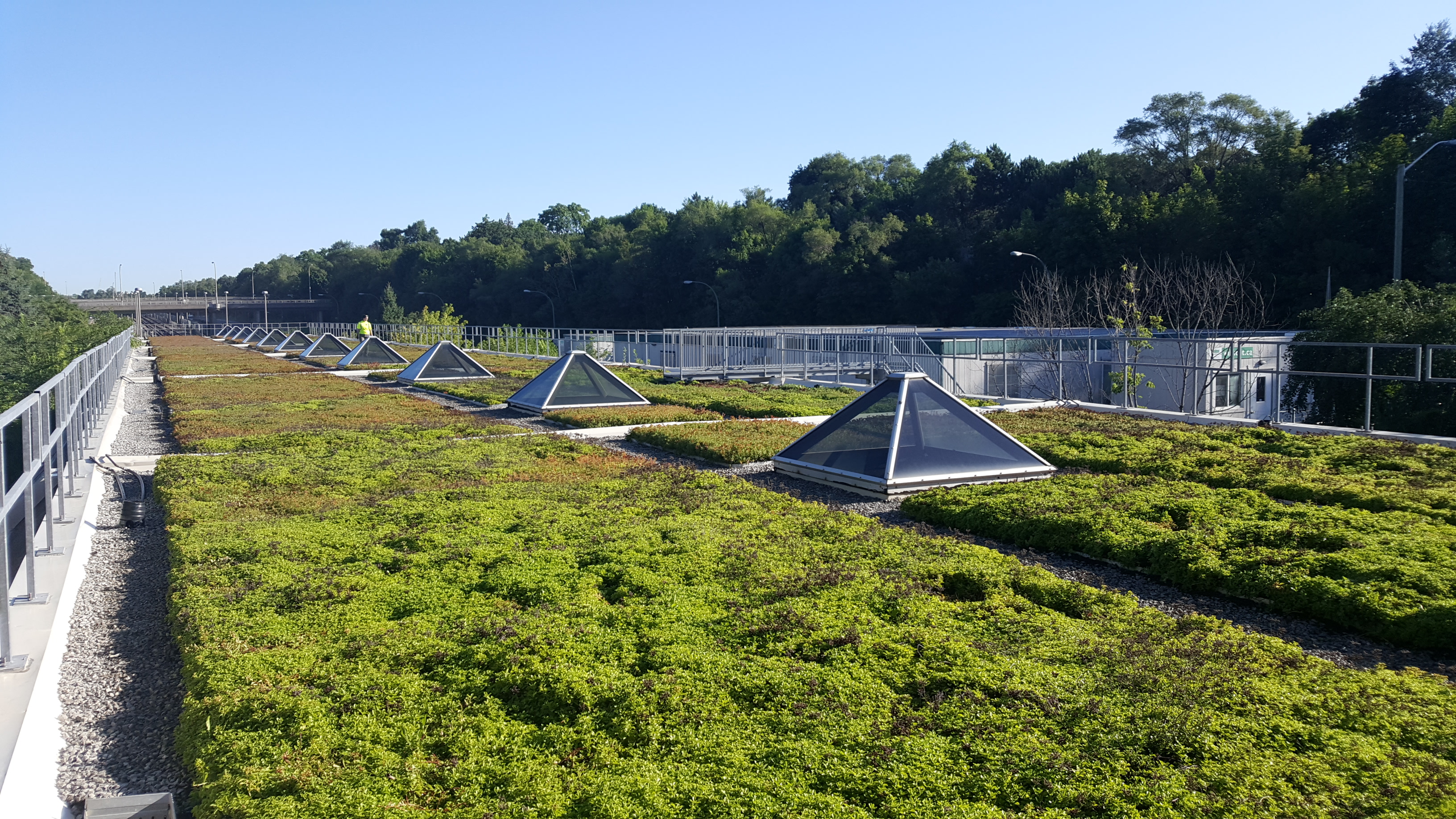 Green roof at Eglinton West Station