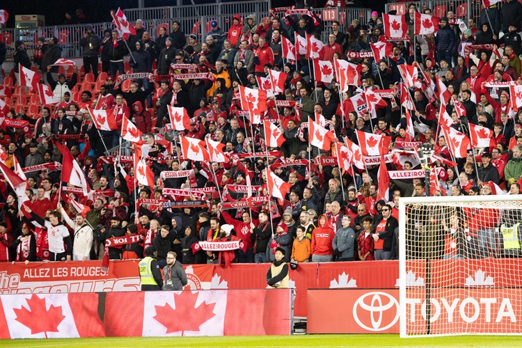 Fans cheering on the team at Toronto Stadium