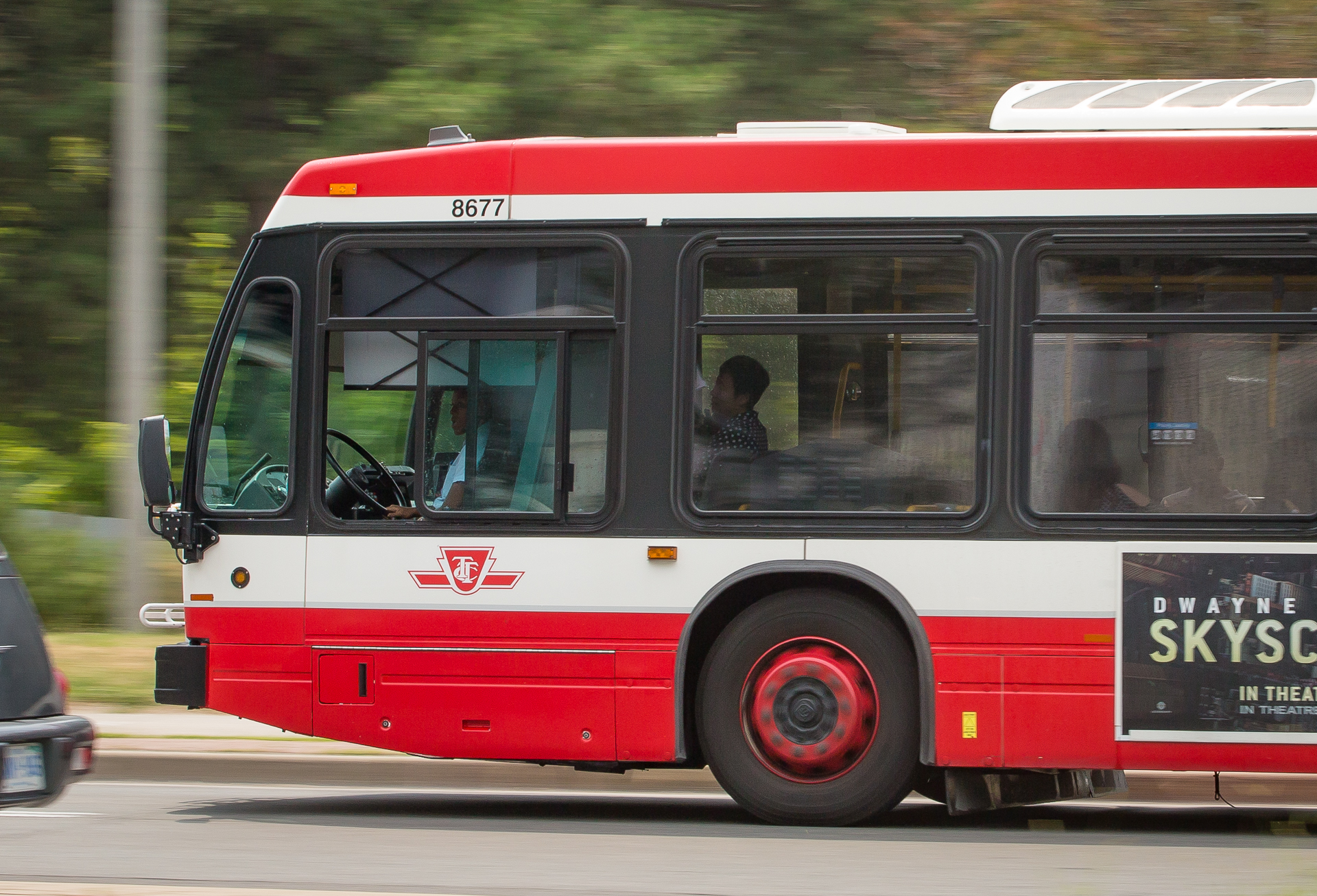 TTC bus on the road