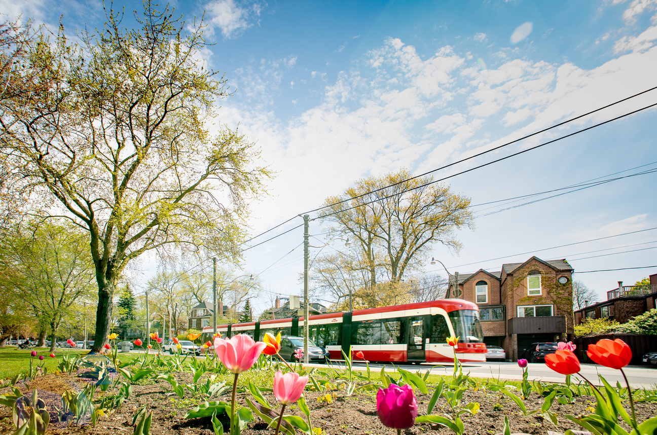 TTC Streetcar at Riverdale park