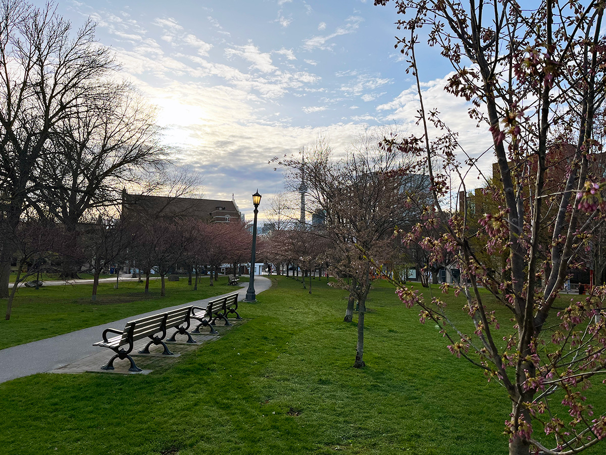 Trinity Bellwoods Park