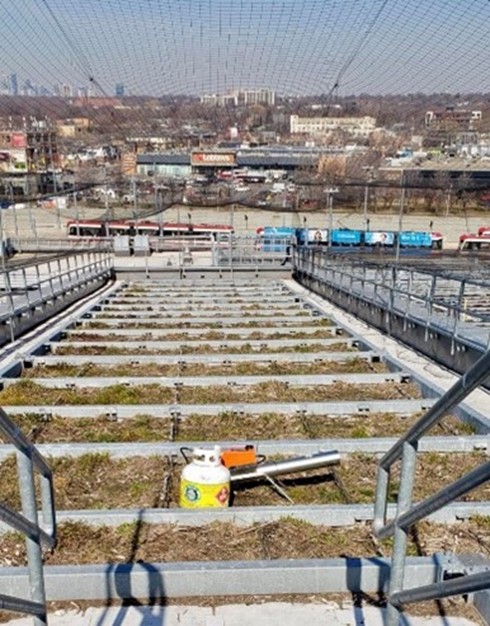 A green rooftop covered with netting