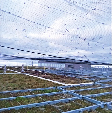 Roof of Leslie Barns
