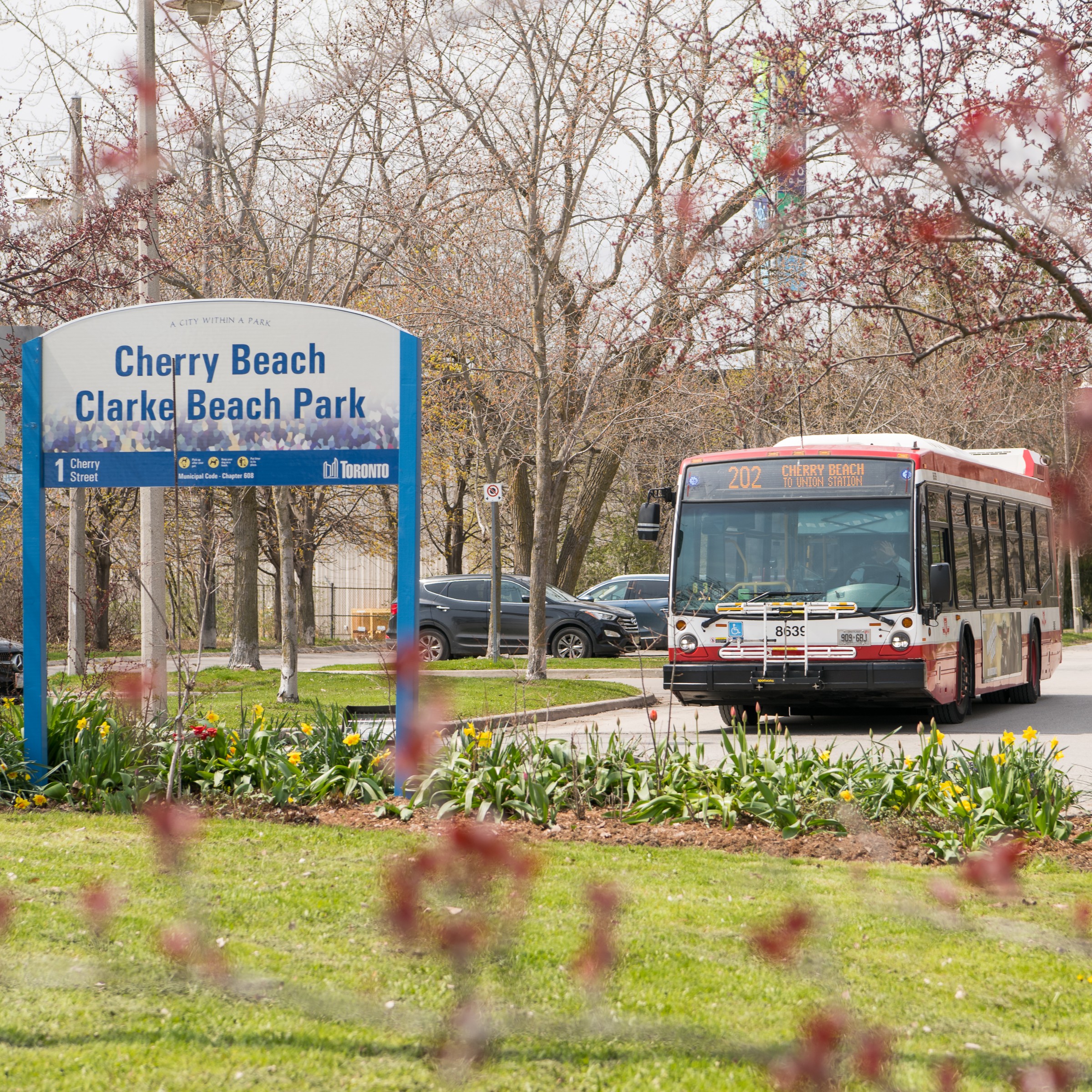 202 Cherry Beach bus