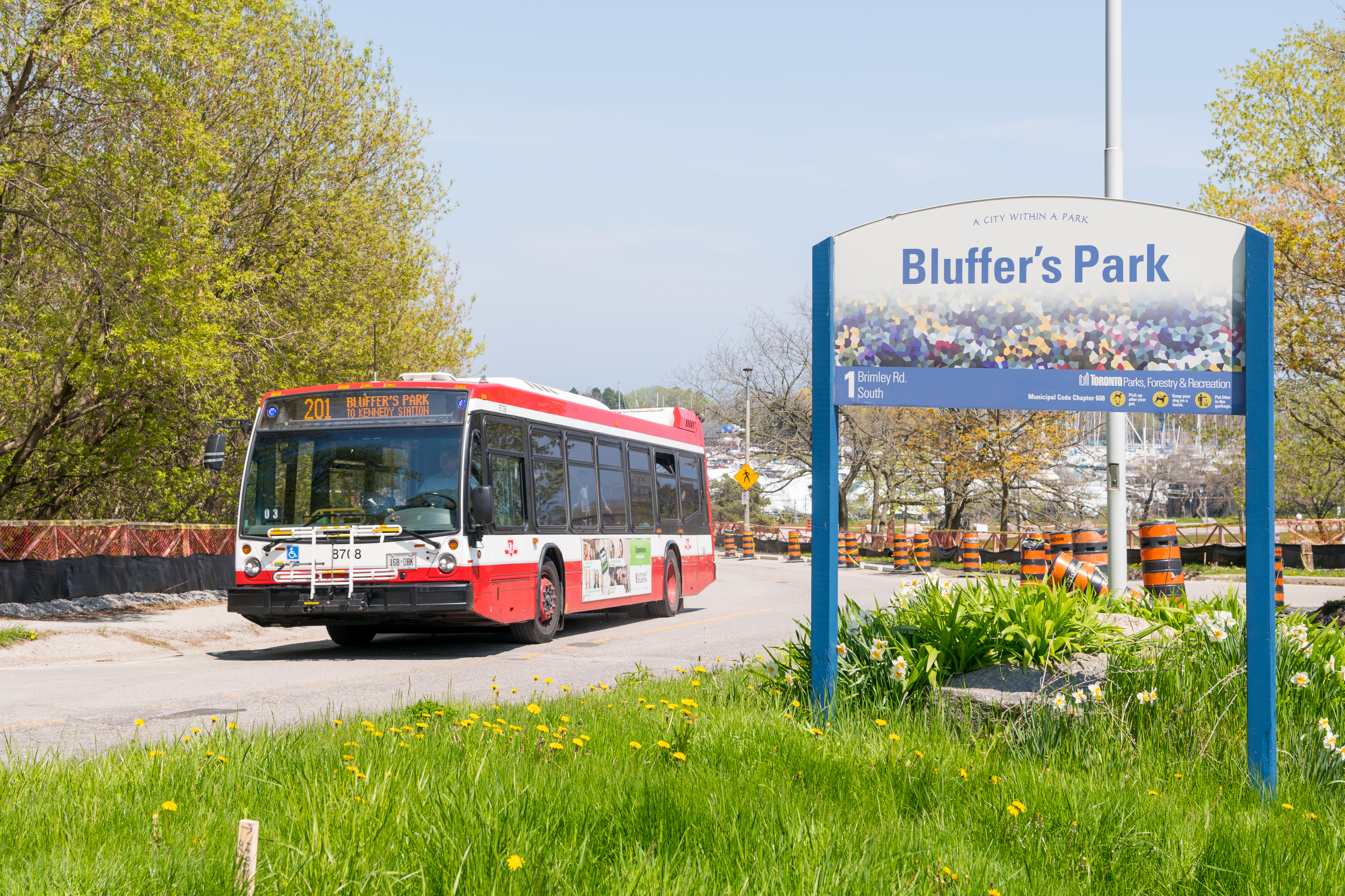 201 Bluffers Park TTC bus