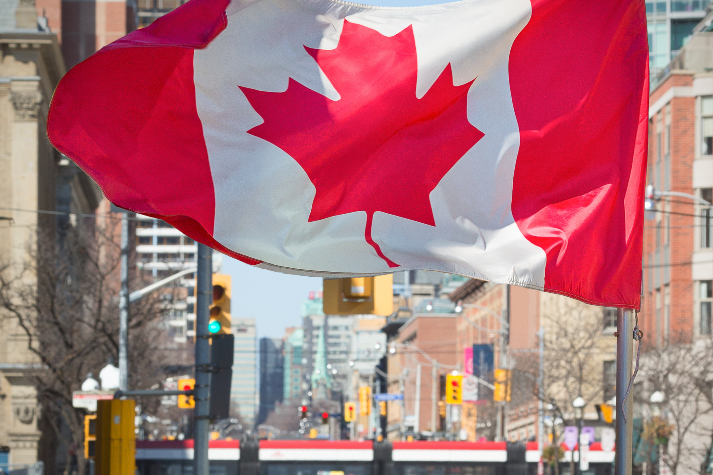 Canadian Flag waving with a TTC streetcar, stoplights and buildings in the background