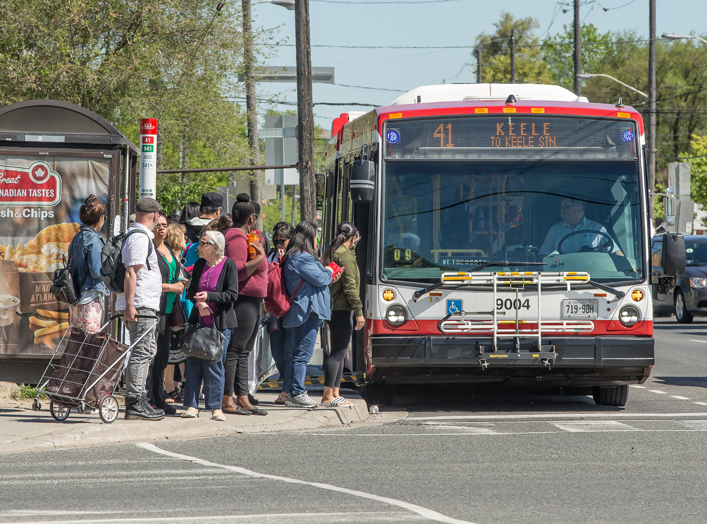 A large group of people wait on the sidewalk to board a 41 Keele Street TTC bus.