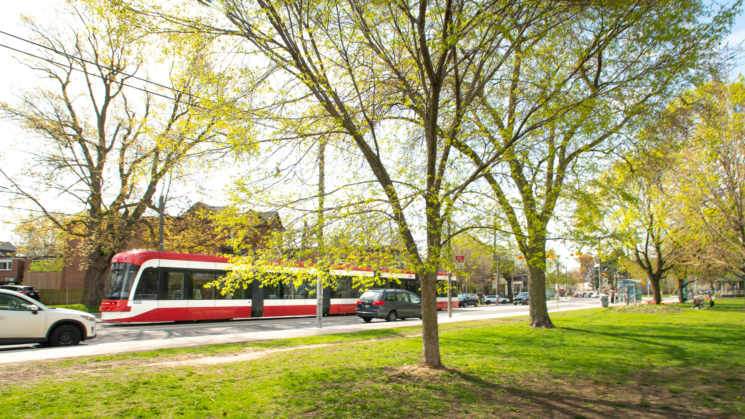 A red and white TTC streetcar passing by a park with large trees