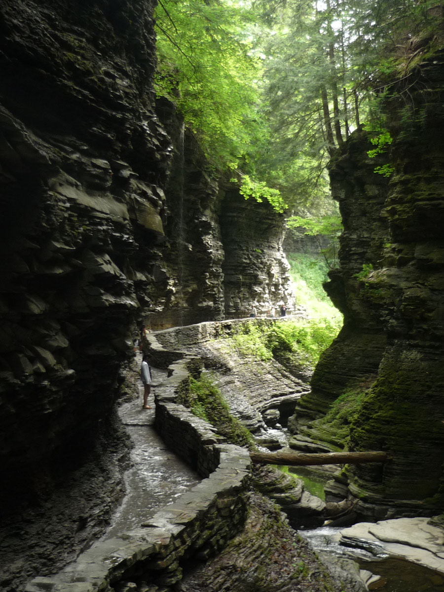 Watkins Glen State Park, New York State. Photo courtesy Dawn Dudley, Malvern Division