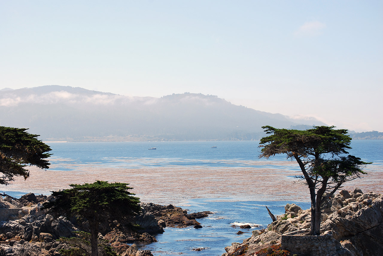 California coast driving. Photo courtesy Lisa Tse, Property Development