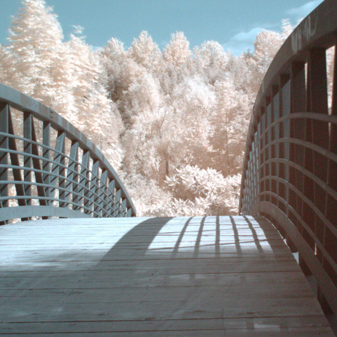 Foot bridge near Cataract Falls in Caledon. Photo courtesy Ashish Punde