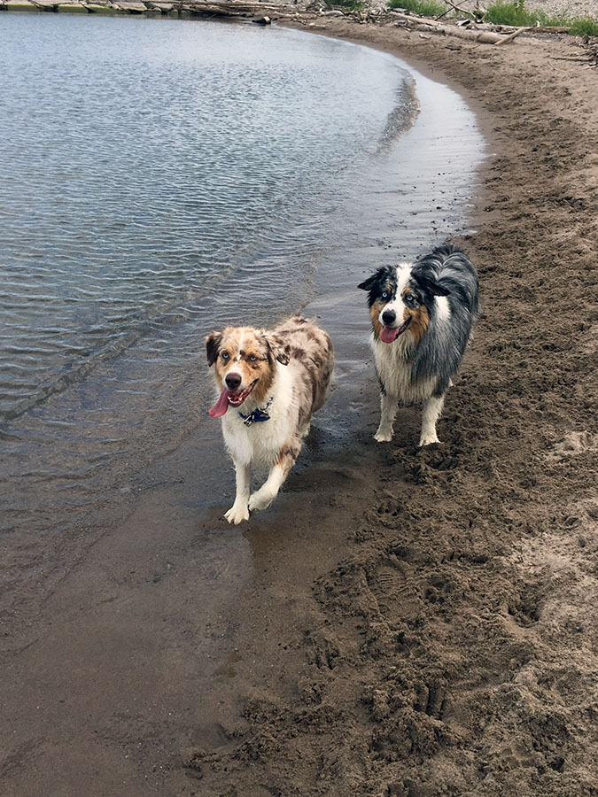 Kicking back with my Aussies, Storm and Lydia, at West Rouge Beach. Photo courtesy Janet Weller