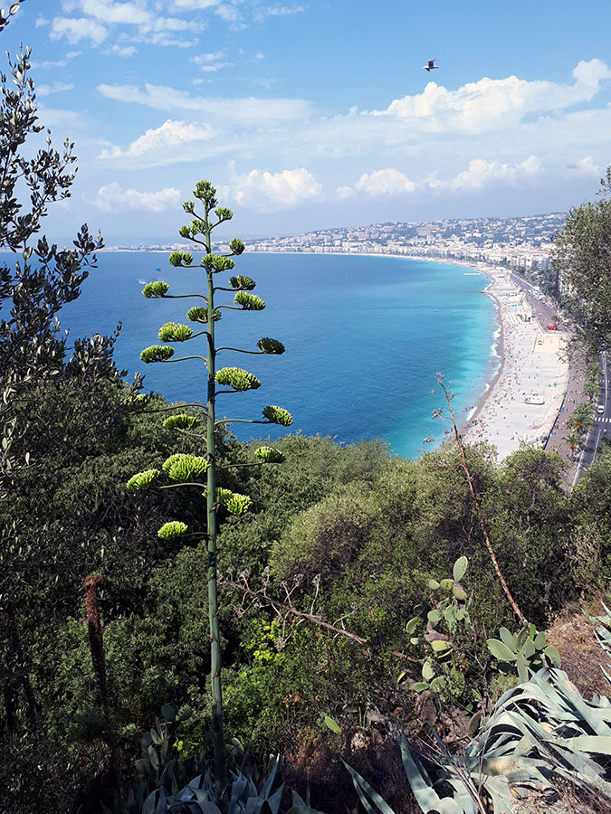 My summer snap of Nice, South of France. Photo courtesy Jeta Haxhimanka