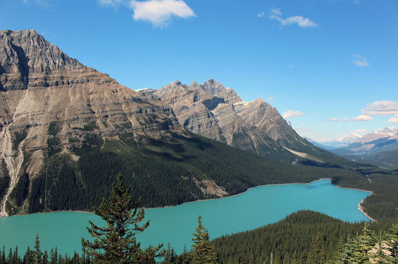 Stunning view of Peyto Lake, Alberta Photo courtesy Salek Seraj