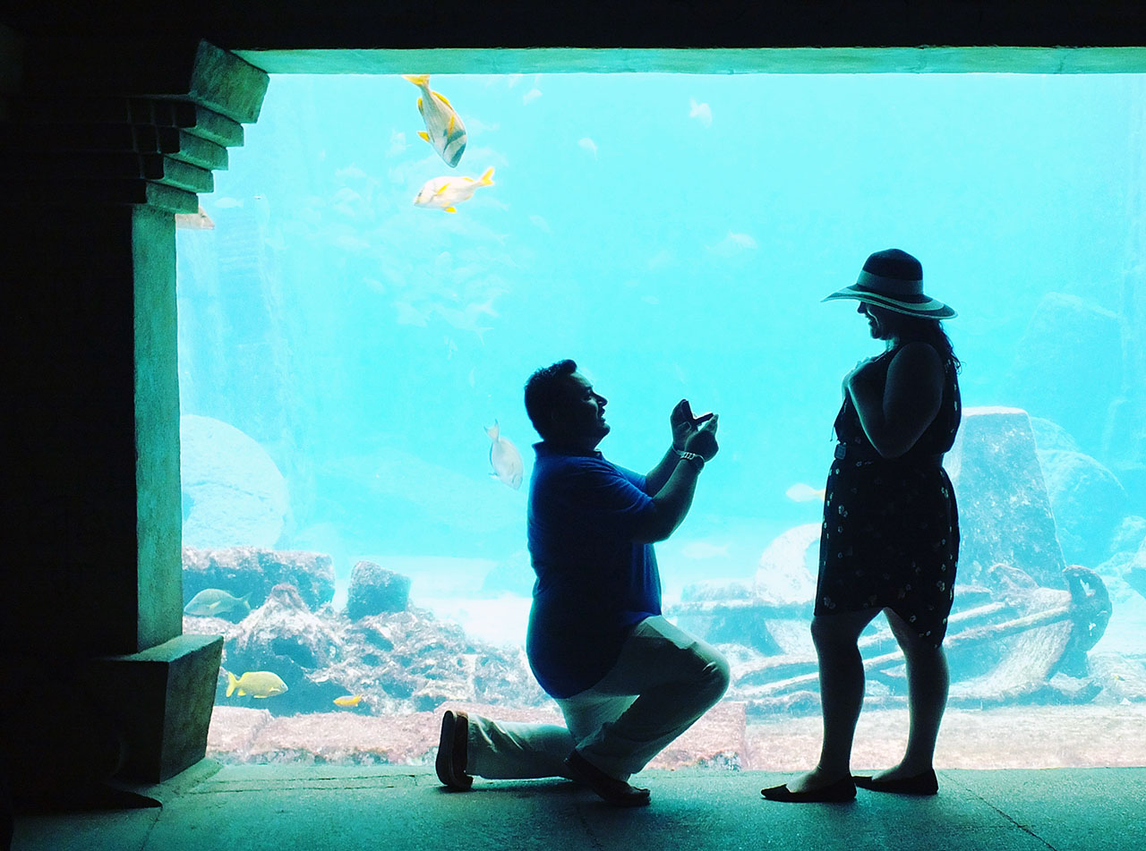 I proposed to my girlfriend last April 10th at the Atlantis Bahamas Resort She said, yes! Photo courtesy Bill Castillo