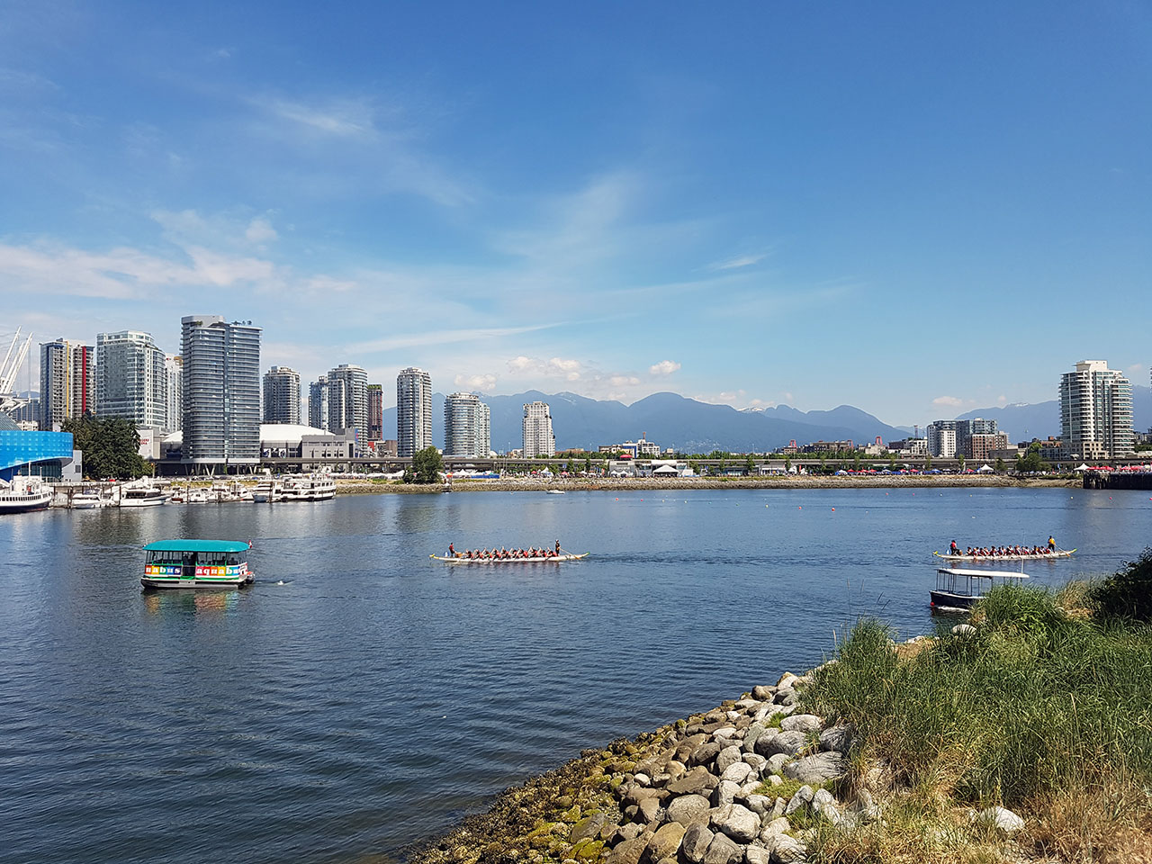 Great races at the International Dragon Boat festival in Vancouver. Photo courtesy Dinah Holiday