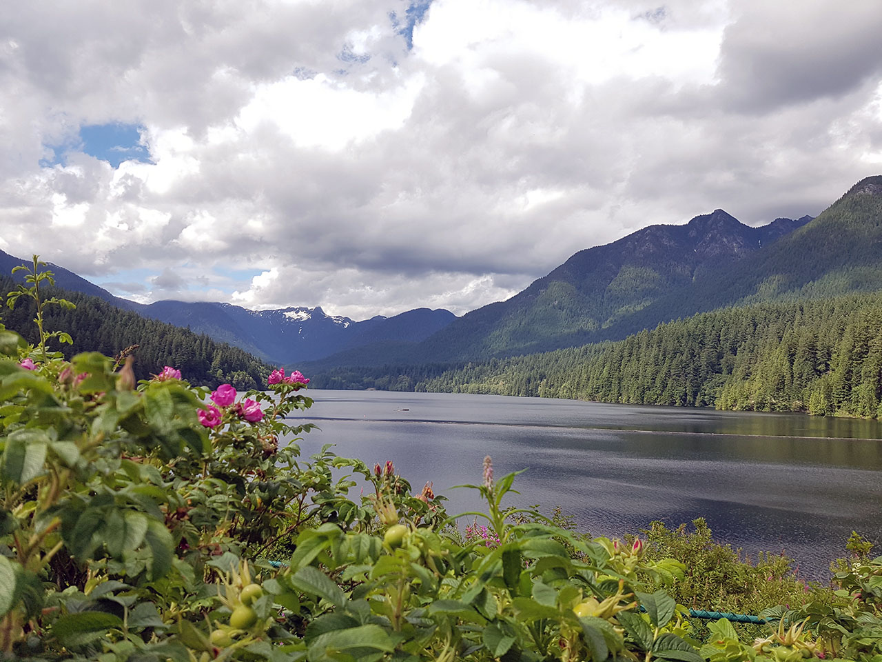 A favourite spot in Vancouver, Capilano Provincial Park. Photo courtesy Dinah Holiday
