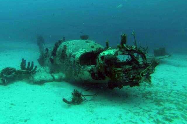 Scuba Diving Runaway Bay Jamaica. Photo courtesy Wendy Whiteman