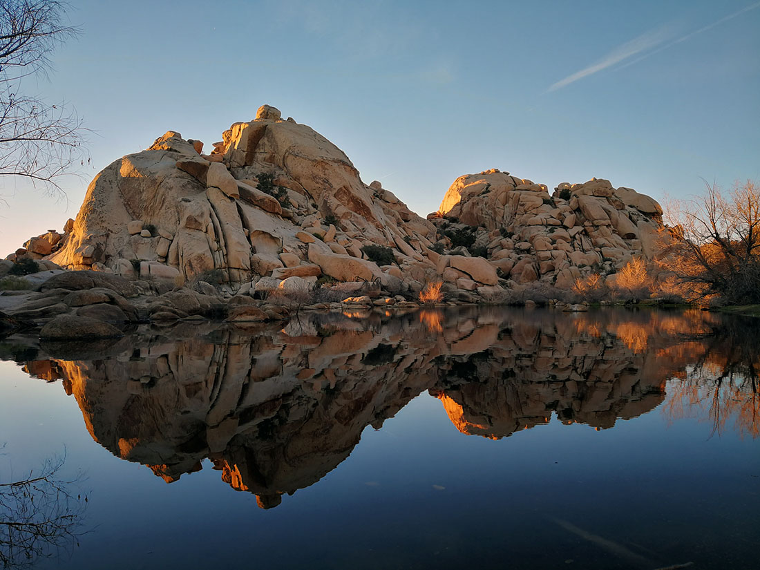 Nature’s calm beauty, Joshua Tree National Park, California. Photo courtesy Novak Novakovic
