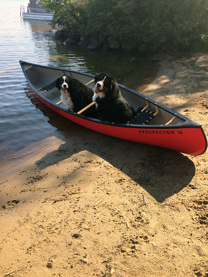 Come on human paddler, what are you waiting for??? Photo courtesy: Pierre Laurin