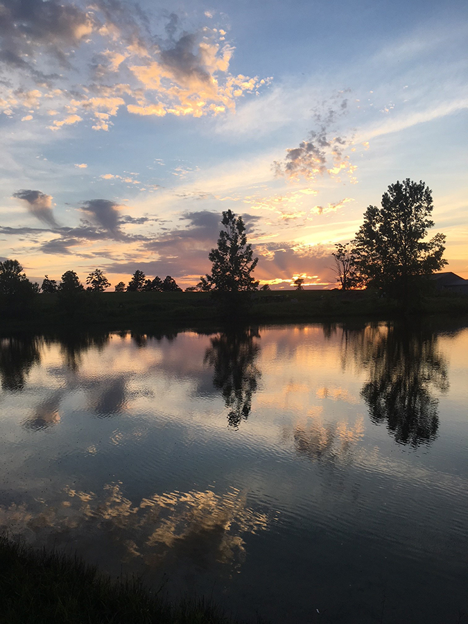Reflective sunset at my weekend getaway, taken near Mount Forest, Ontario. Photo courtesy Brian Sellwood