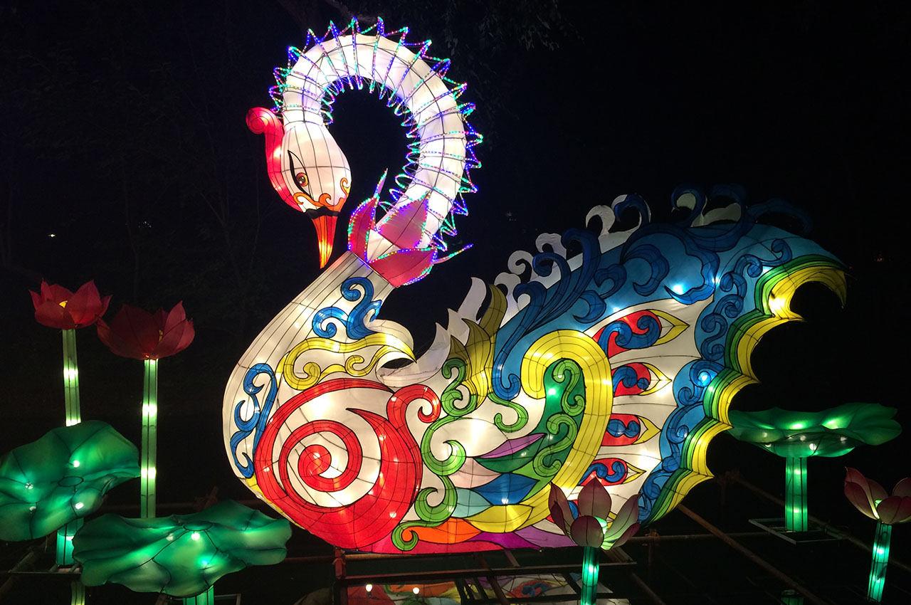 Asian Lantern Festival in Cleveland, Ohio - saw a swan! Photo courtesy Lauro Tapucar