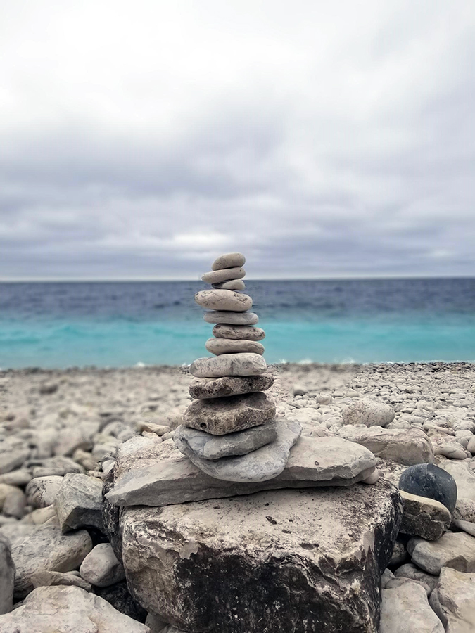Snapshot from Tobermory. Photo courtesy Faraz Hussain