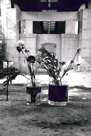 Russell Hill site 1995